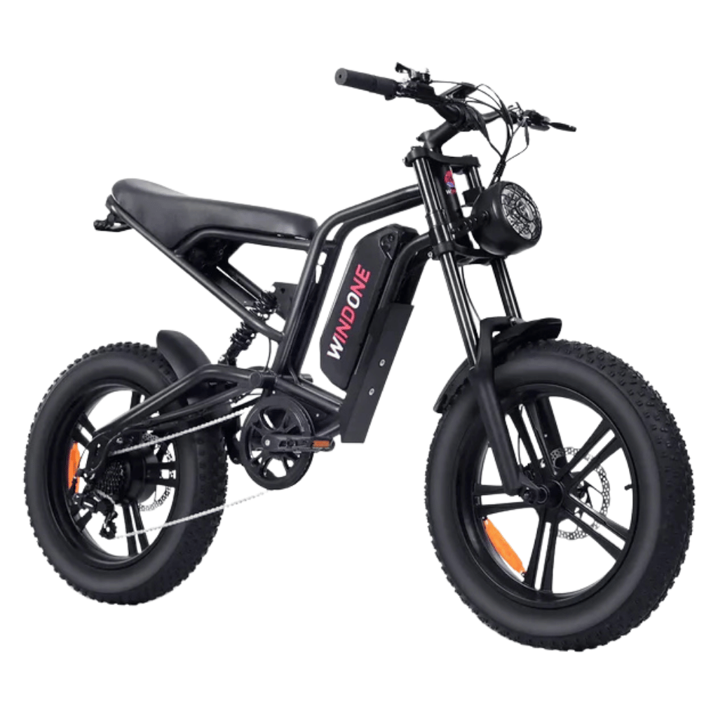Windone E2 Fat Tire Offroad Adventurer img